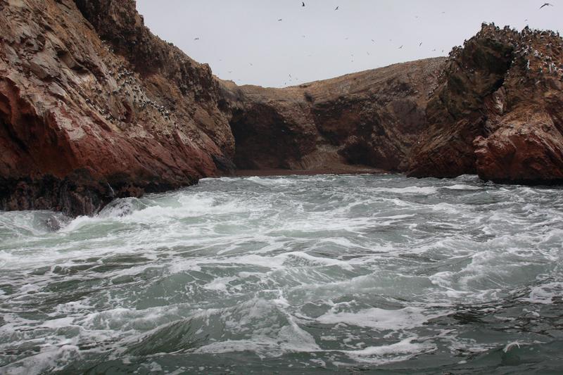1170-Isole Ballestas,19 luglio 2013.JPG